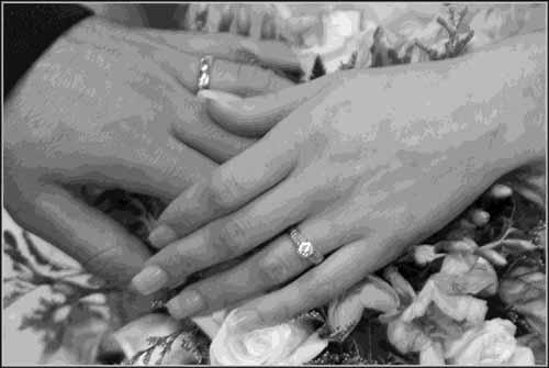 4bit.jpg (15951 bytes)